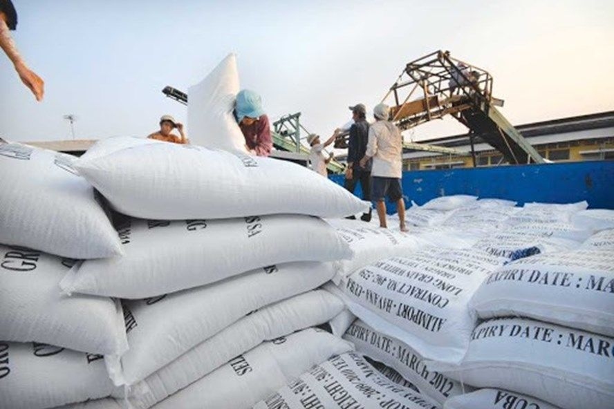 Rice exports anticipated to fetch over US$4 billion this year